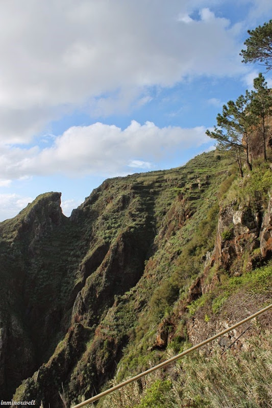 Madeira2014_15