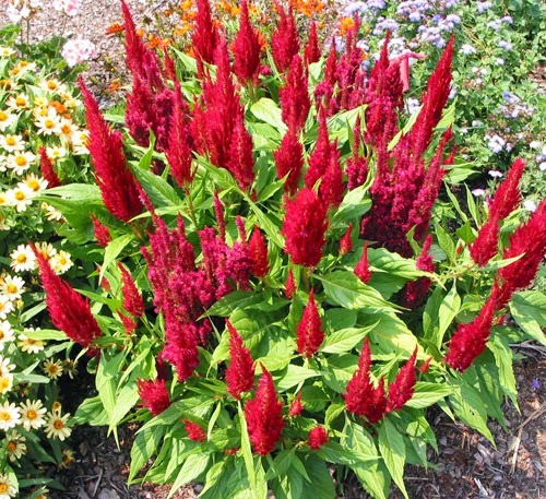 [clip_image002%255B3%255D.jpg]