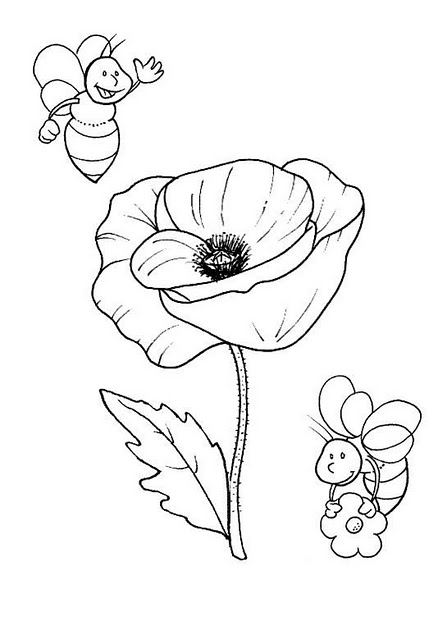 POPPY COLORING PAGES