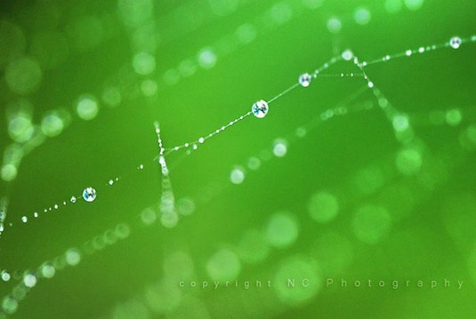 [clip_image004%255B4%255D%255B2%255D.jpg]