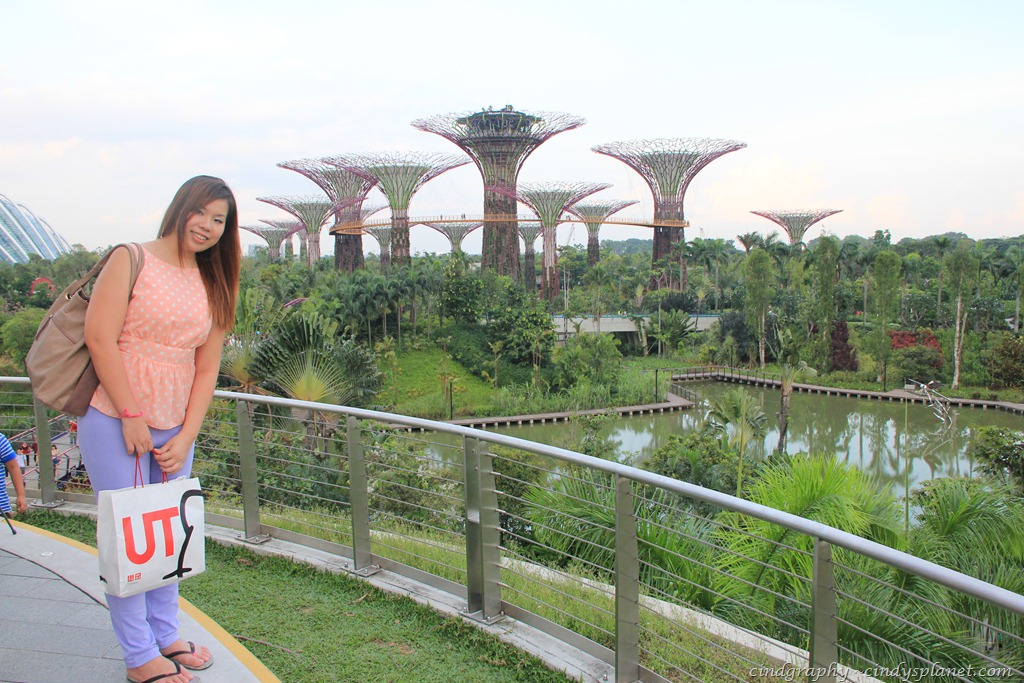 [IMG_4068%255B3%255D.jpg.webp]