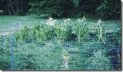 fenced garden 2a