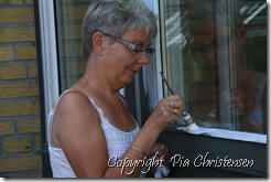 IMG_7329 IMG_7329