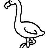 flamant1.jpg