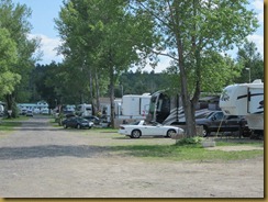 2011-7-4 carols campsite ontario canada (8) (800x600)
