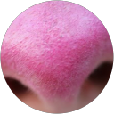 Tato Knoxs profile picture