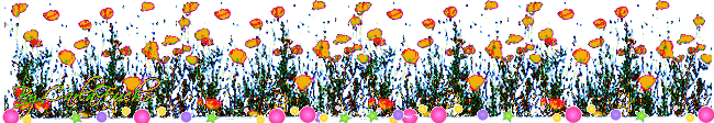 oie_oie_overlay+%25281%2529.gif