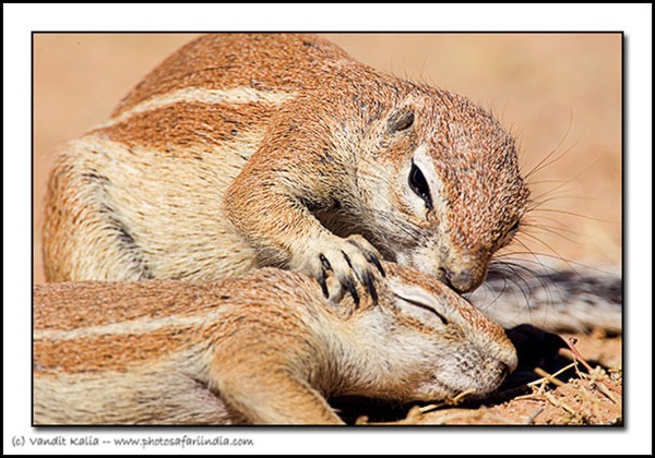 [besos%2520y%2520masajes%2520%25284%2529%255B3%255D.jpg]