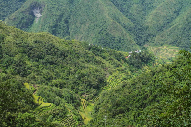 Batad Rice Terraces surrounded by lush green tropical forests