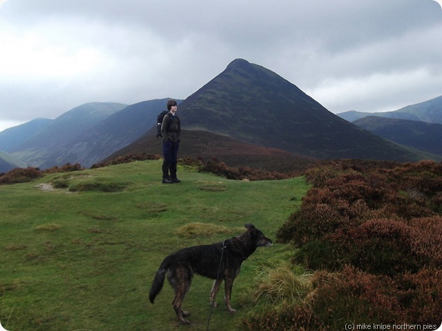 henry, superdawg and causey pike