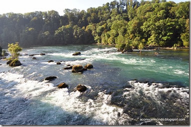 59-Cataratas del Rin (Schafhausen) - DSC_0381