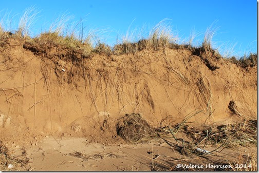20-damaged-dunes