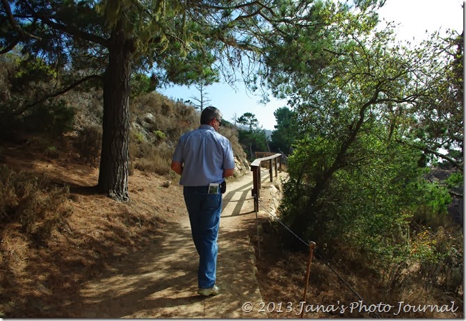 Bird Island Trail - Point Lobos, California