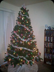 12-10-2011 our tree