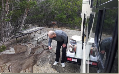 Dick feeding deer Medina Lake TT (2)