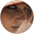 MrLabeba . MrLabeba .