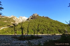 IMG_4368 IMG_4368