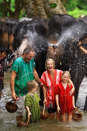 Imagini Thailanda: spaland un elefant in rau, Patara, Thailanda