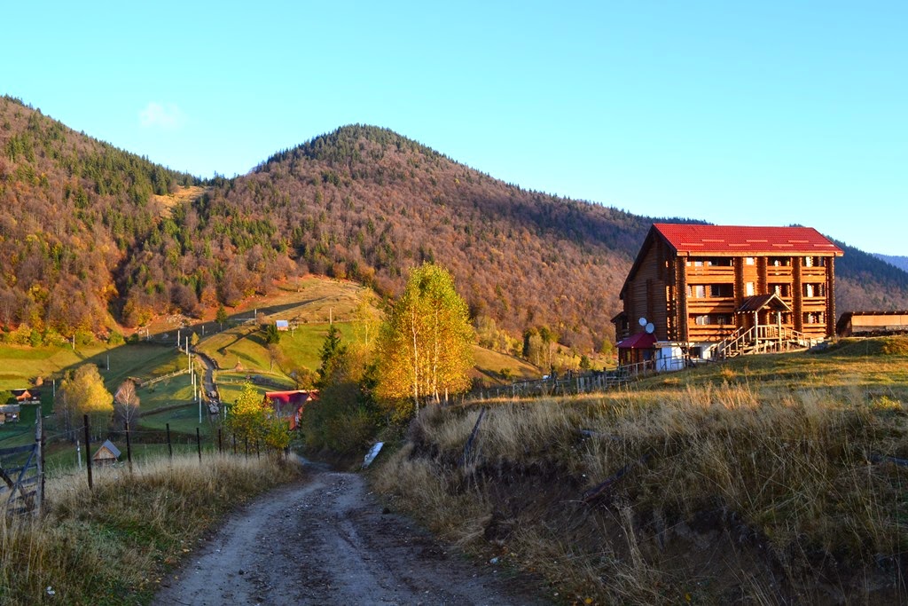 [DSC_54703.jpg]
