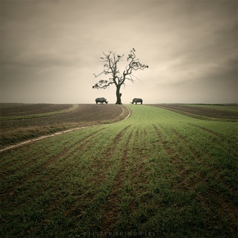 [clip_image001%255B2%255D.jpg]