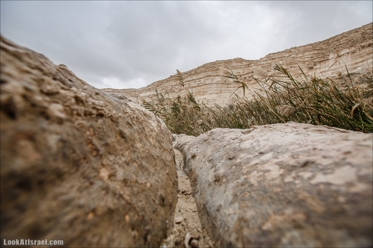 Ручей Акев и источник Эйн Акев в пустыне Негев. LookAtIsrael.com - Фото путешествия по Израилю