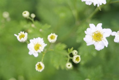 20100609 (2) (Small)