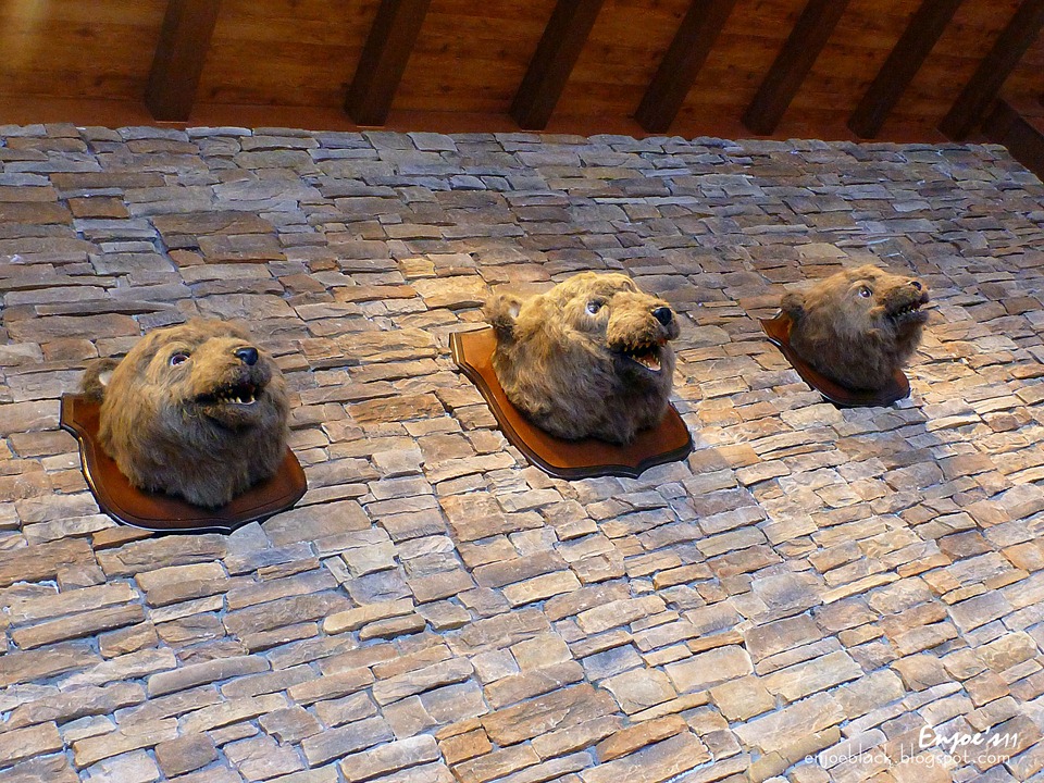 [P10006323.jpg]