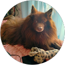 Image Google de Martine Autrive