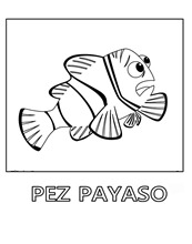 pez-payaso-2 1