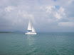 Austr_368_10.11.2007.JPG