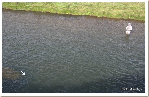 IMG_3443 IMG_3443