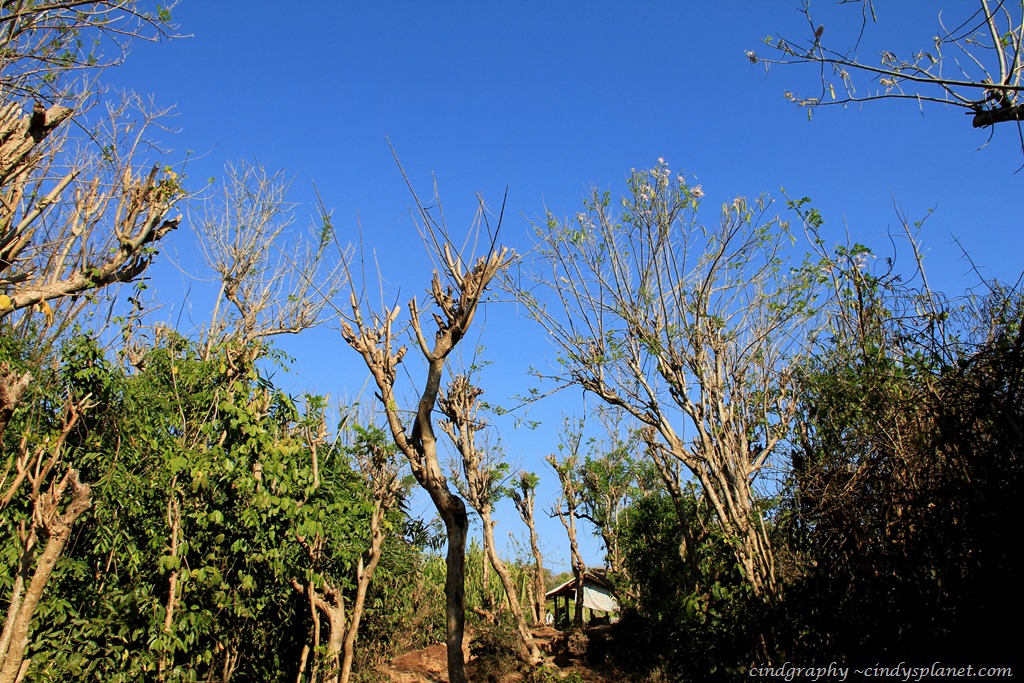 [DPP%2520Bali%2520%2528559%2529%255B3%255D.jpg.webp]