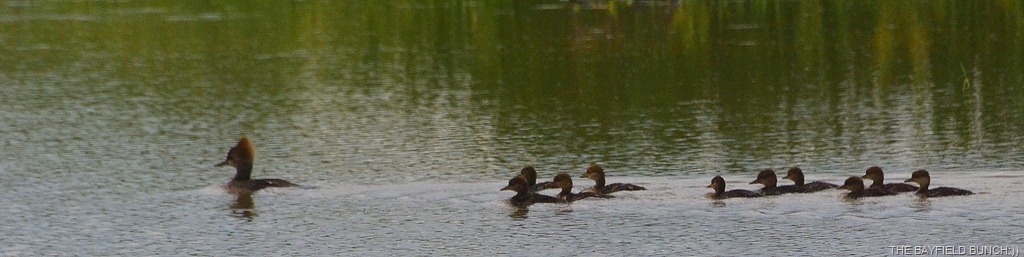 [DSC_0025%255B4%255D.jpg]