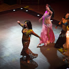 IMG_7239.jpg