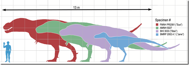 1200px-Tyrannosaurusscale