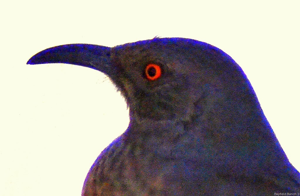 [DSC_0078%255B9%255D.jpg]