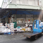 tsukiji fish market in Tokyo, Japan 