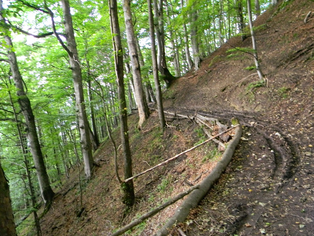 [DSCN01763.jpg]
