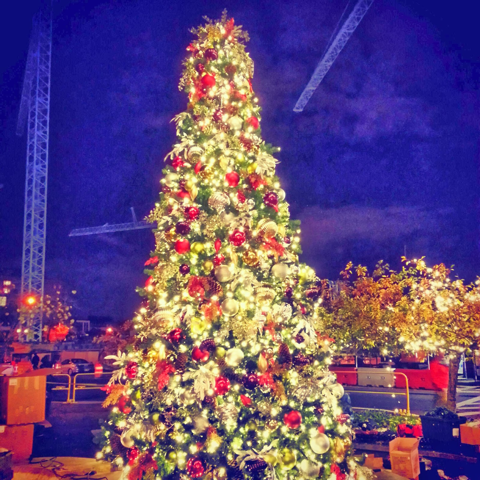 Robert Dyer Bethesda Row BETHESDA ROW CHRISTMAS TREES, MENORAH AND