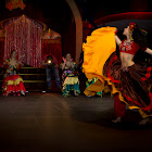 IMG_9234.jpg