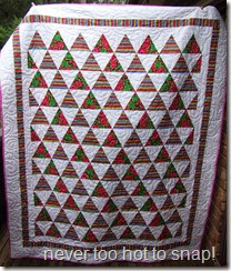 Triangle Flowers and Brights quilt