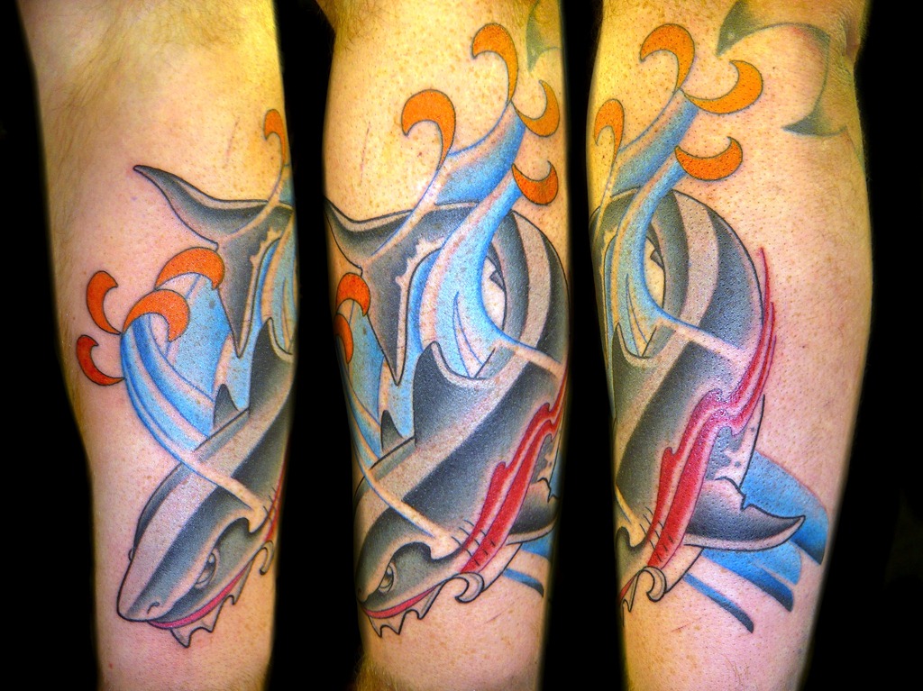 [shark2%255B4%255D.jpg]