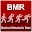 BMR Download on Windows