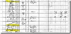 1880  Census, Stephen D. Purvis