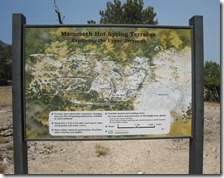 IMG_7062 IMG_7062