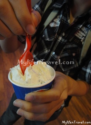 Bangkok Ice Cream 16