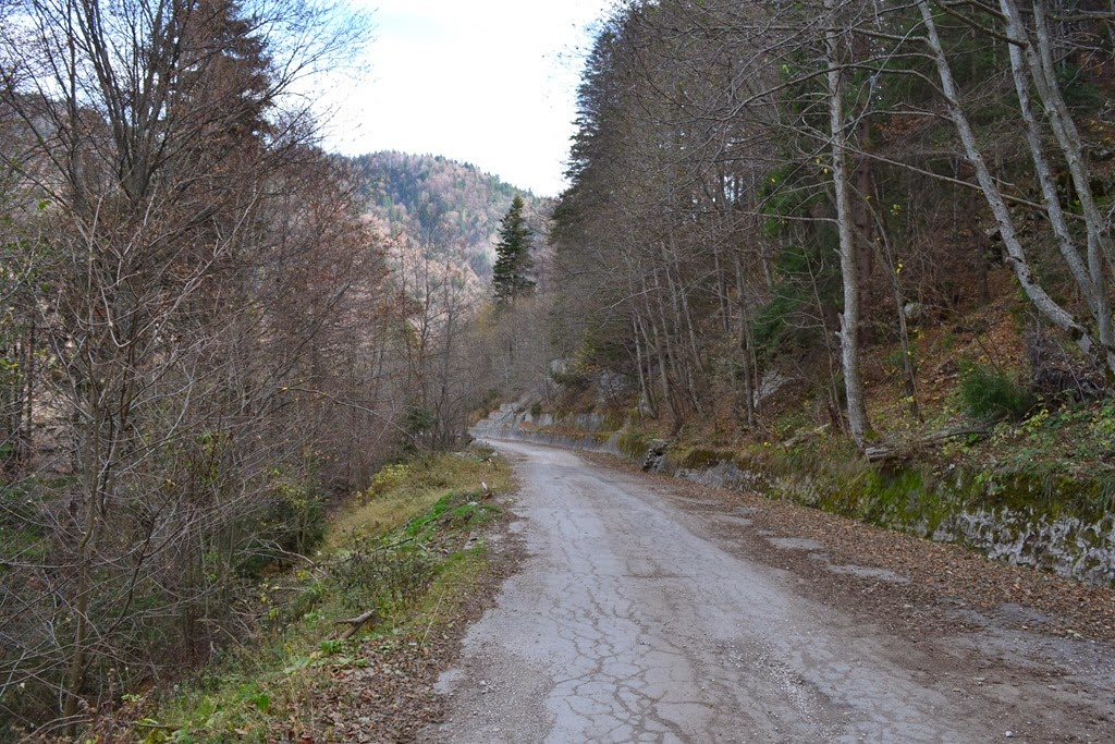 [DSC_039731.jpg]