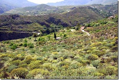 2719 Cañadón Jierro 2719 Cañadón Jierro