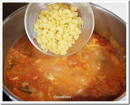1-2-sopa minestrone pollastre-6