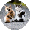 Image Google de carine fritsch